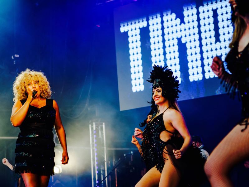 tina turner tribute